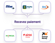 Paiements Mobile Money Paiements Mobile Money